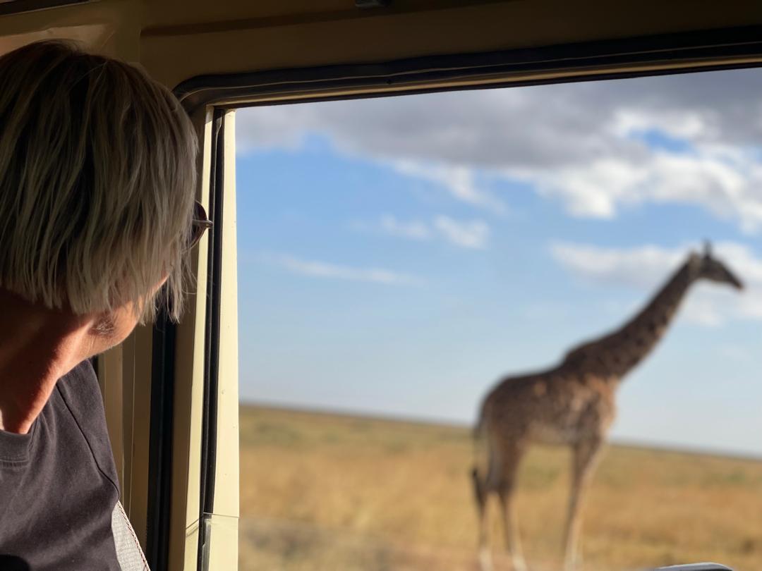 serengeti national park birds watching safari tour