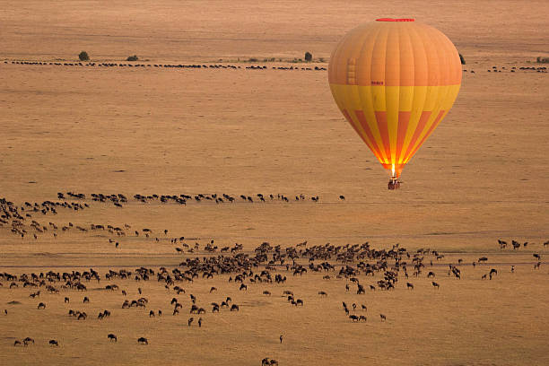 Hot air balloons floating over the Serengeti plains at sunrise during a private 5-day safari