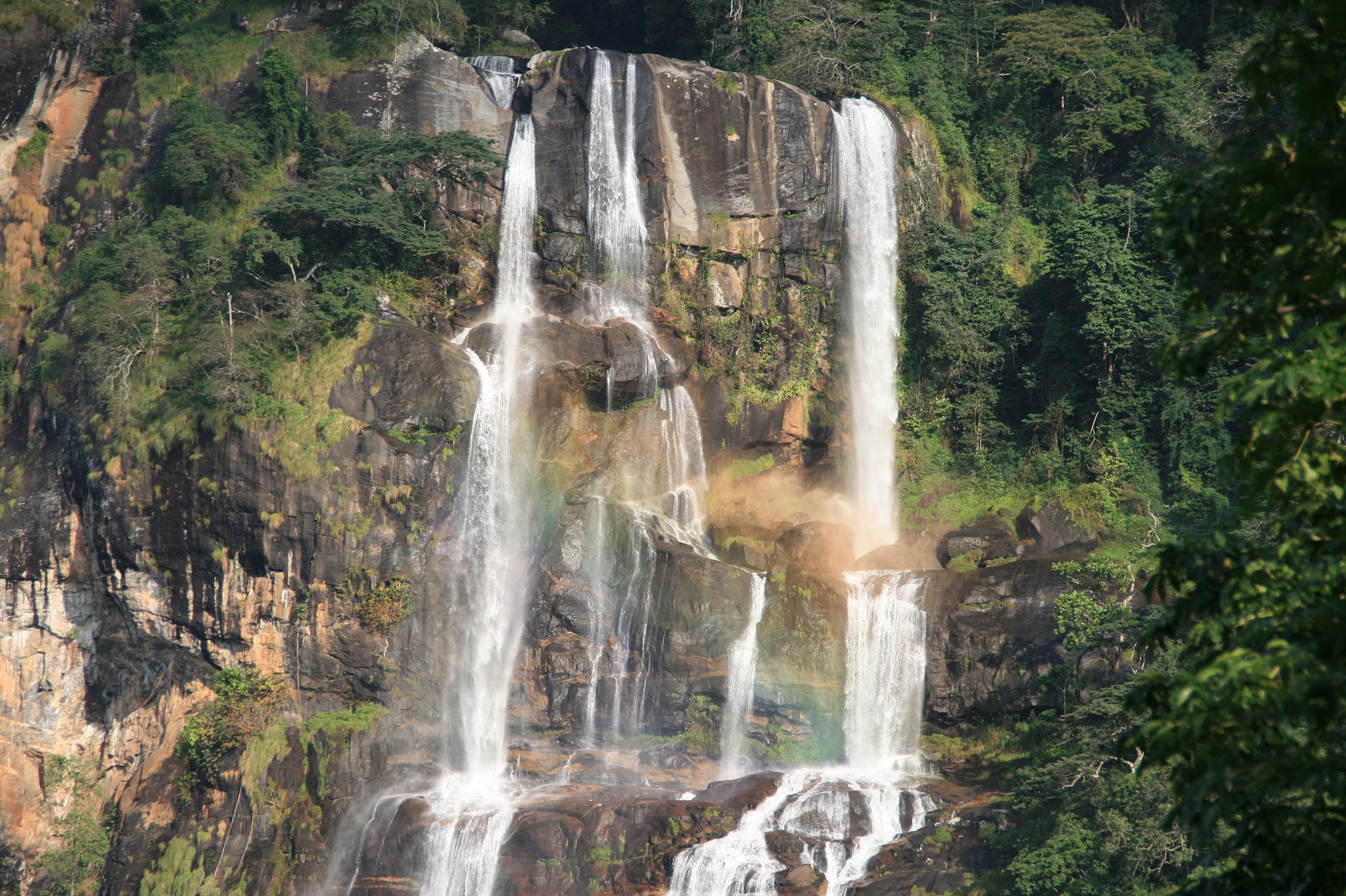Mikumi and Udzungwa Safari Tour for 2026 - 2027