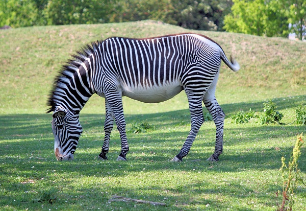 Moshi - best time tanzania safari 2026 - 2027