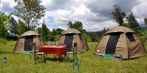1 Day Tanzania group joining Safari Tour for 2026/2027