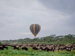 Serengeti National Park wildlife