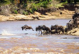 Tanzania radar to explore serengeti