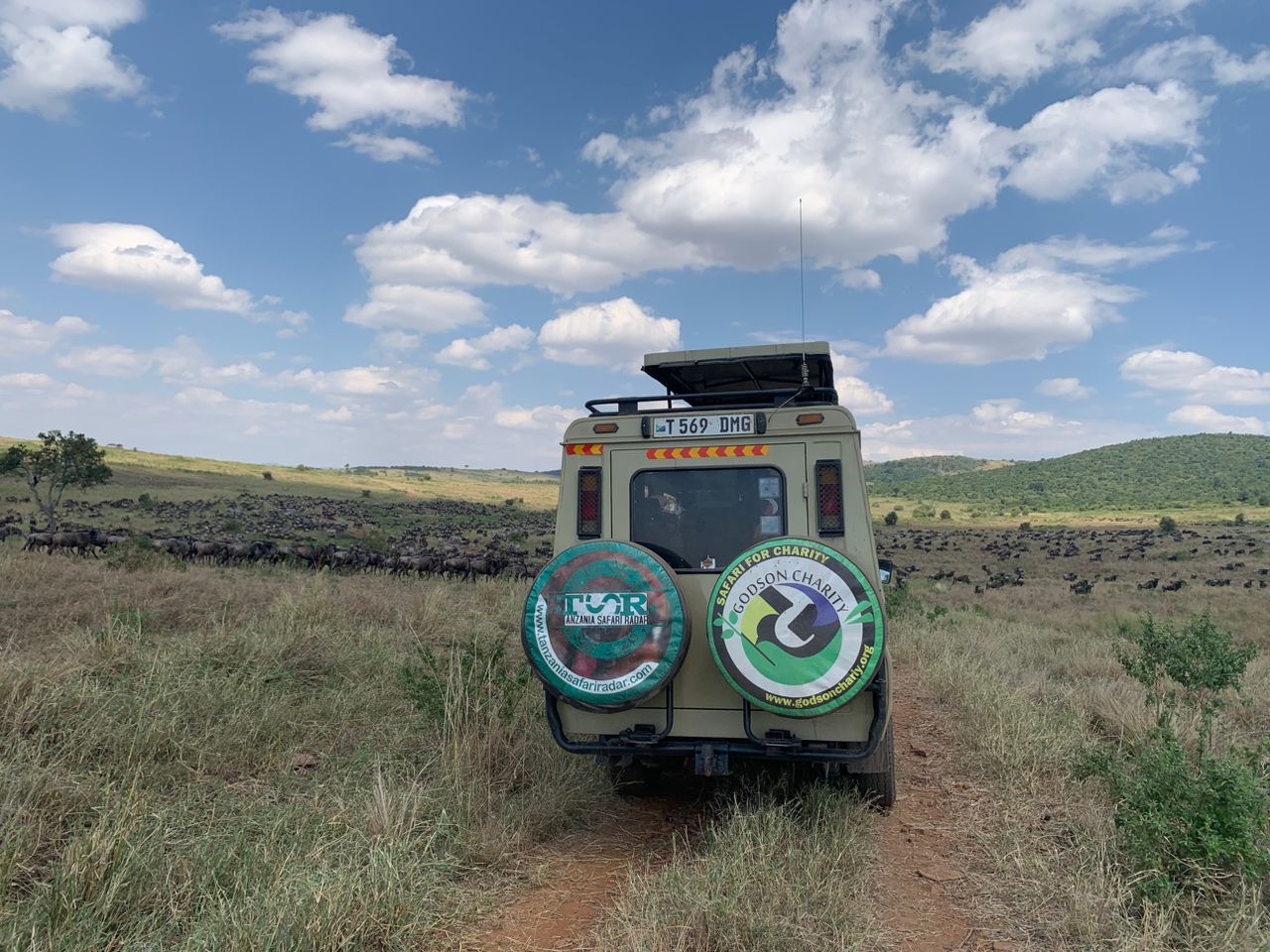 Serengeti national park migration safaris