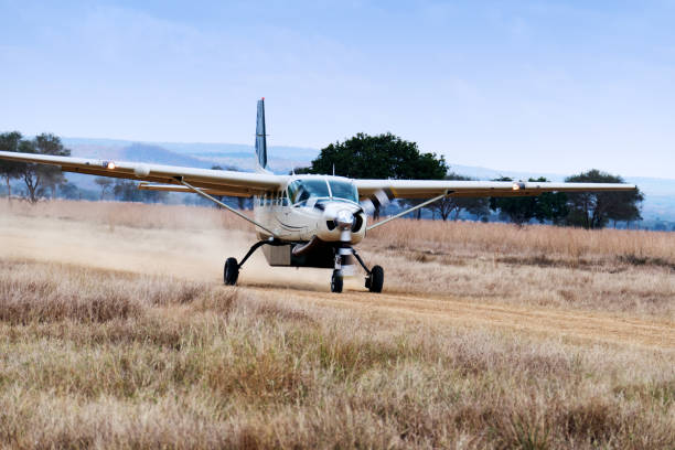 safari tour to mikumi