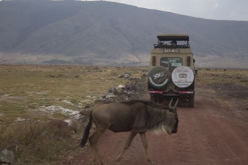 Best Fly-In Drive-Out Serengeti Migration safari in Dec to March