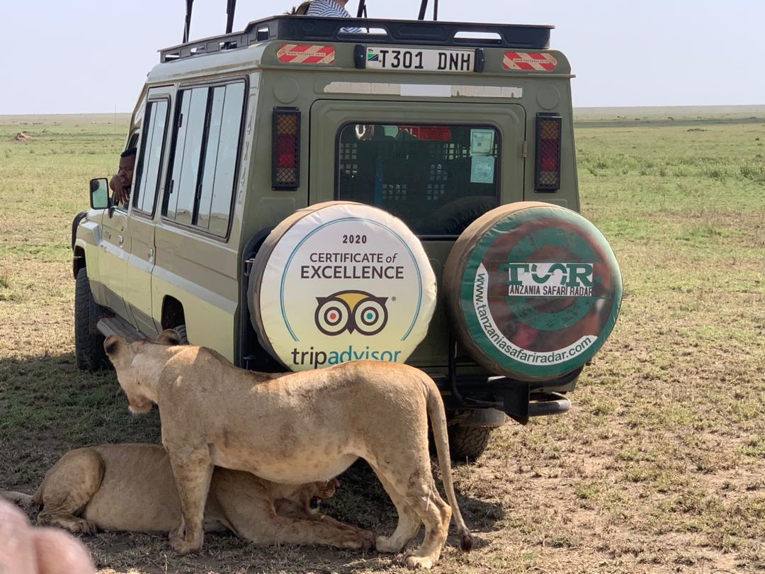 safari tanzania
