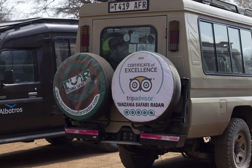 safari tour in tanzania