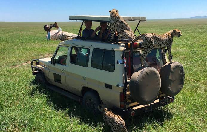 Serengeti Safari Tour
