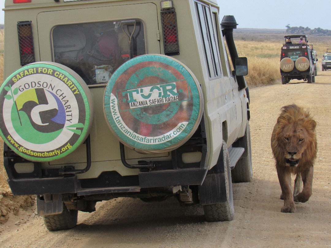 serengeti tanzania safari in 2026-2027