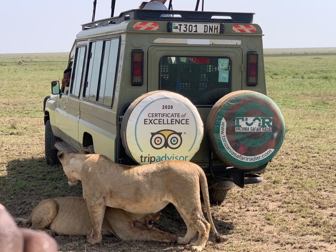 big 5 safari tanzania
