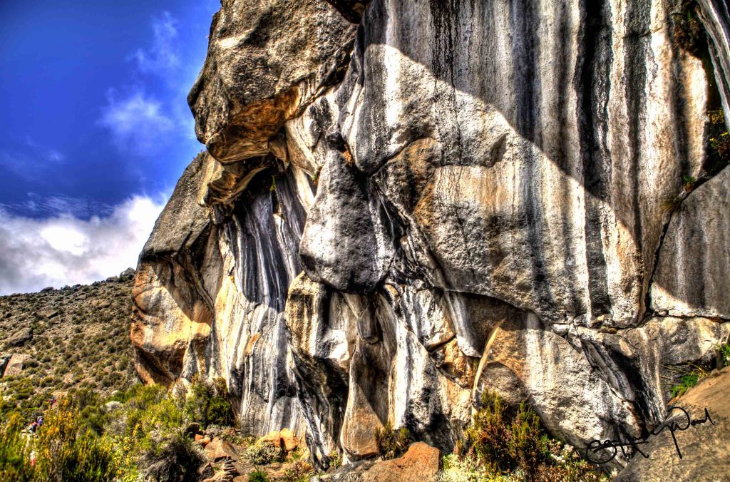 Mount Kilimanjaro Marangu Route Landscape